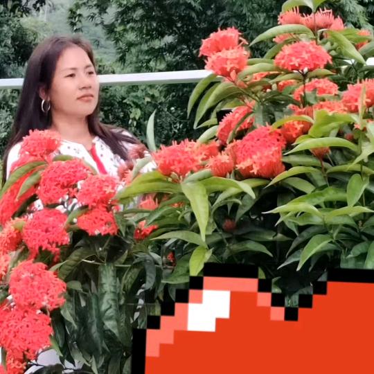 刘姐，