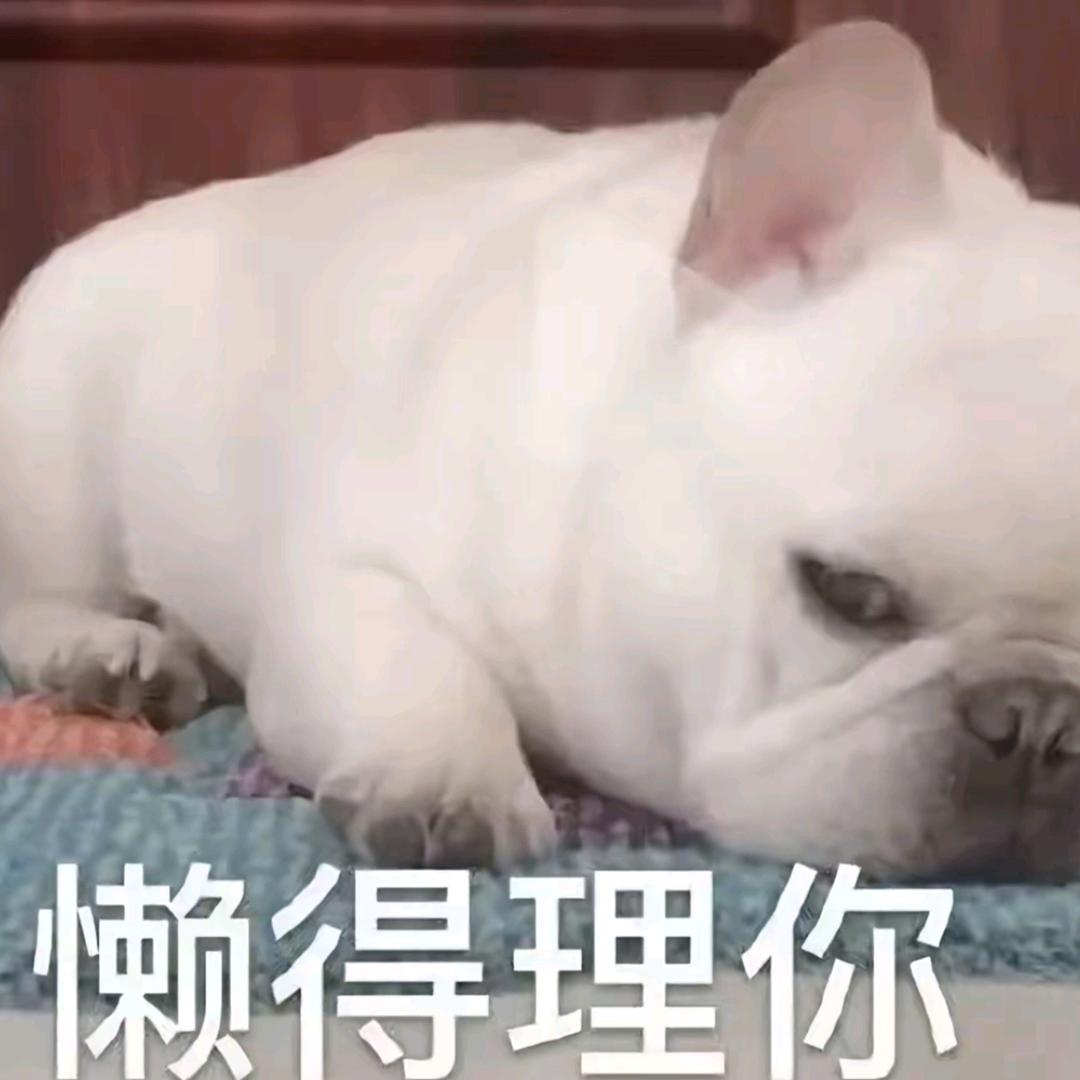 🌈🌈🌈懒得理你呀