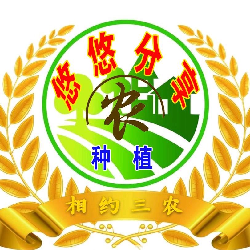 悠悠分享