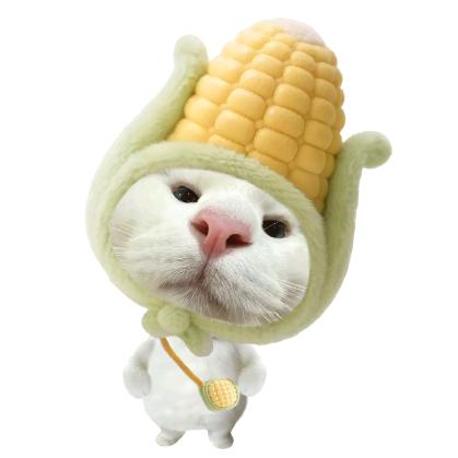 马思远