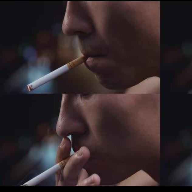 城南也南不在蓝，城北也北不在美。