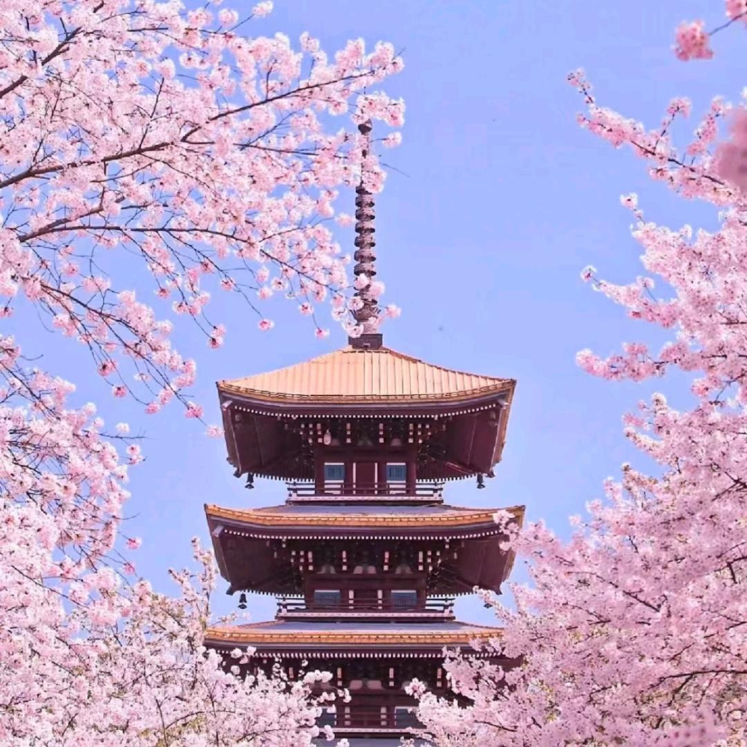 万公子