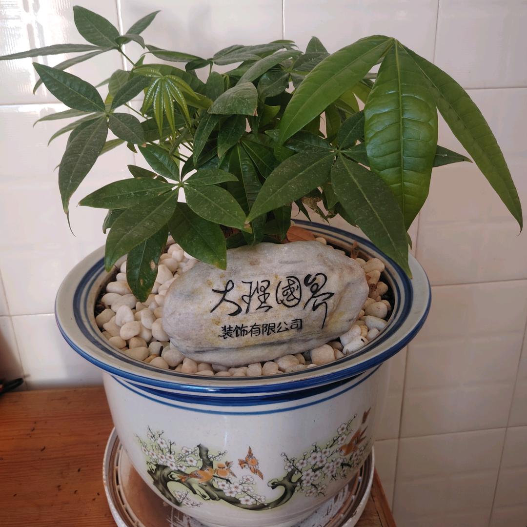 大理国界装饰