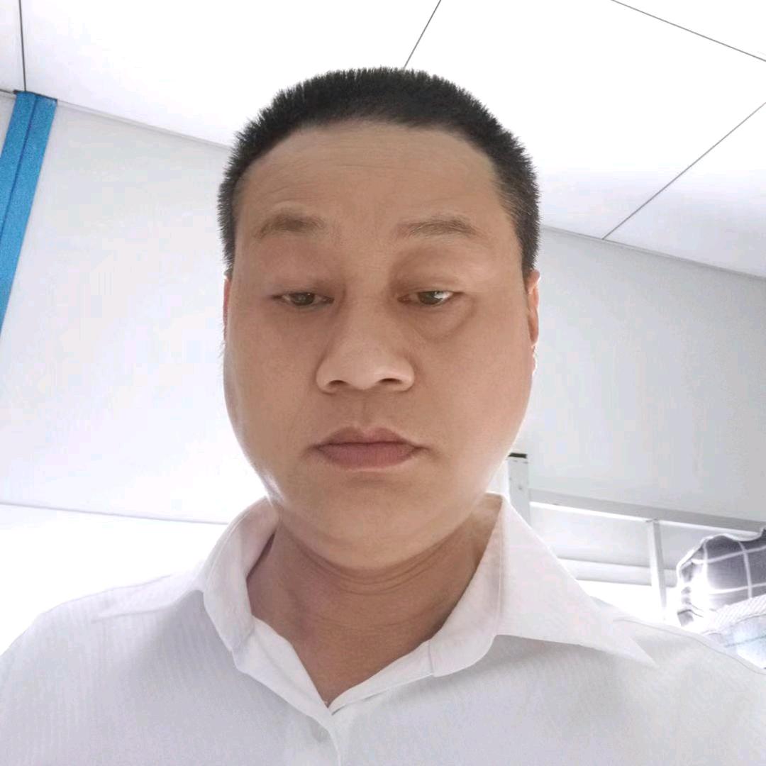 太阳花