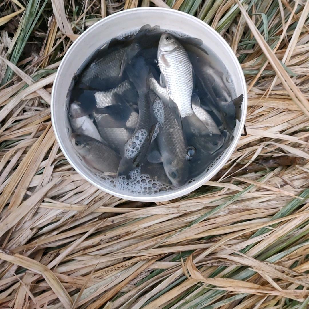 人生是一片海