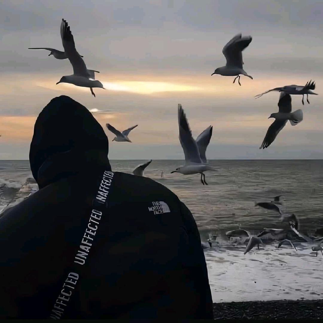 101+营销总监       M