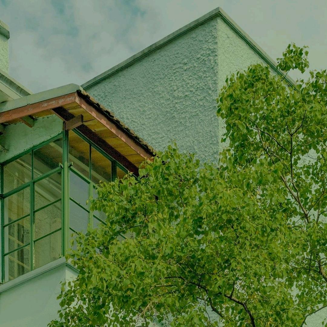 知雾语茶对对碰