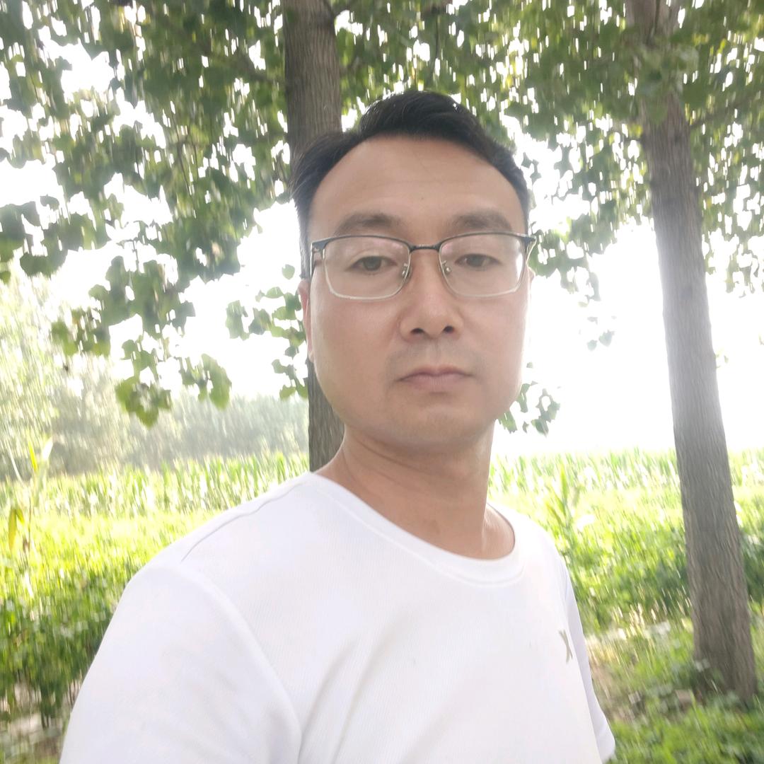 陈歌