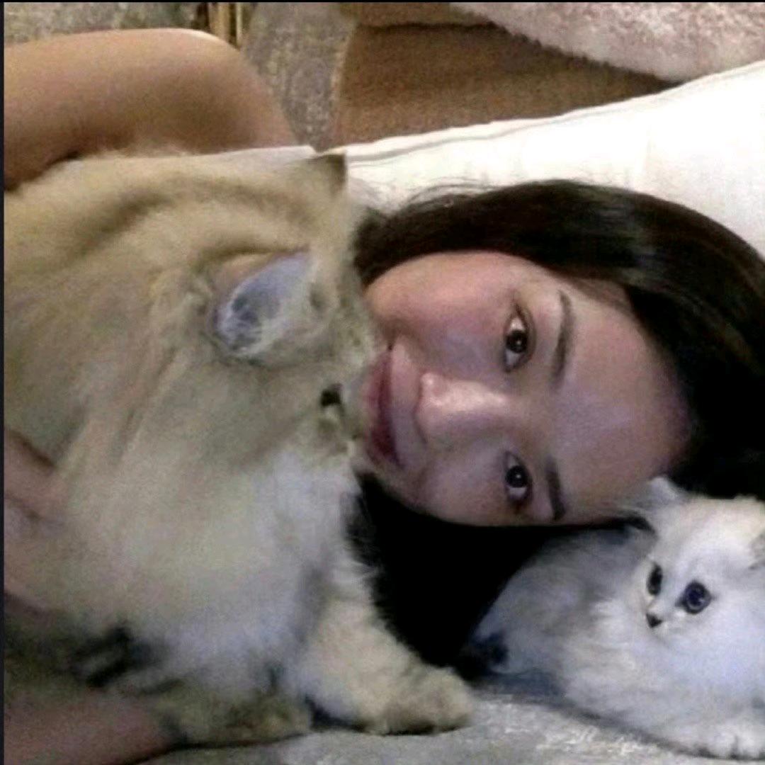 面包