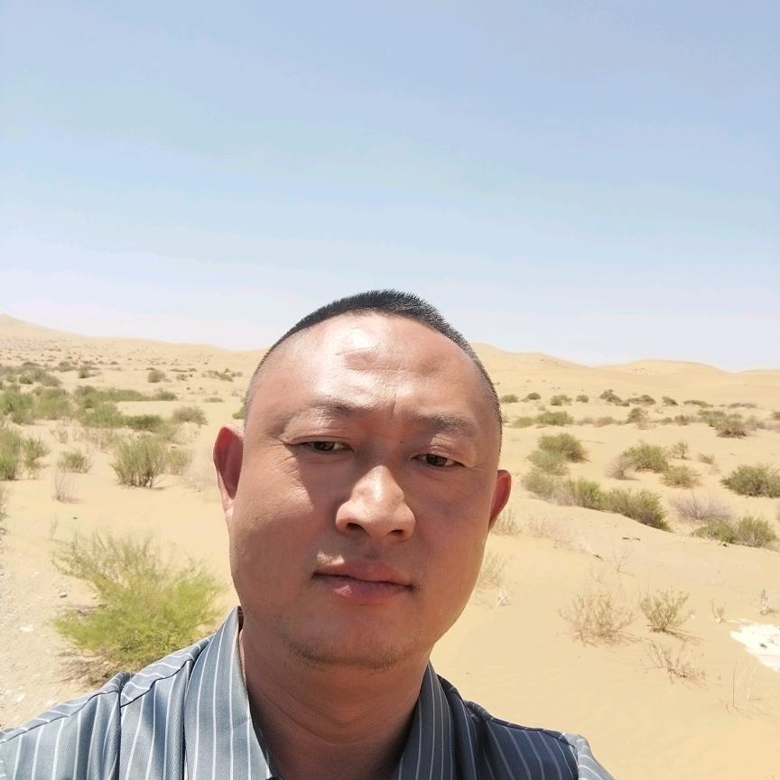 沧州洪达印刷楊