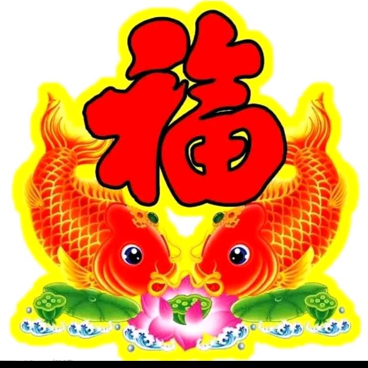 春天归来🌹