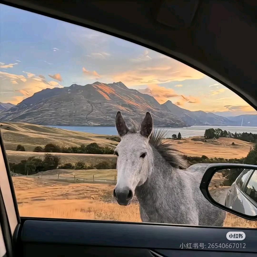 財