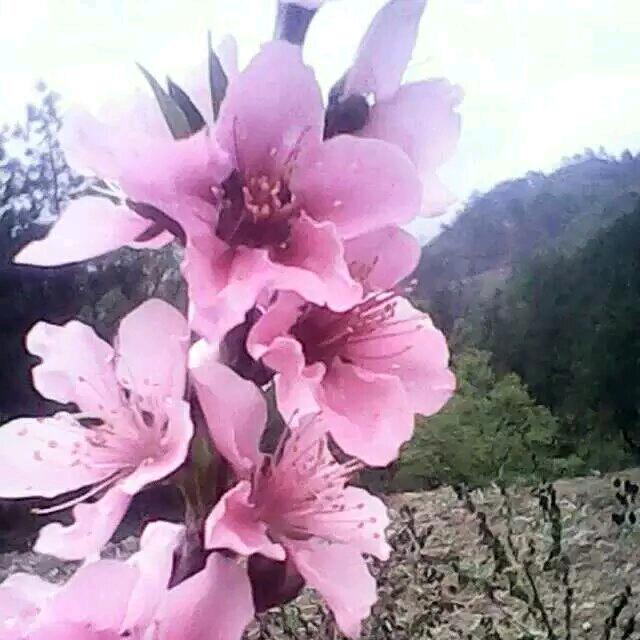 ❤x想你才看你🌹🌹🌹