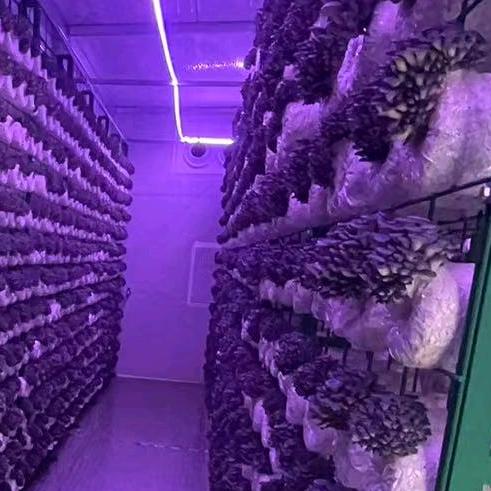 食用菌种植方舱专用智能空调厂