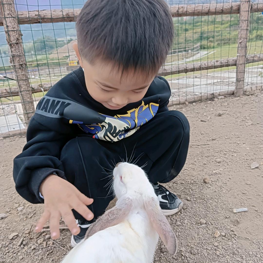 小小的王同学