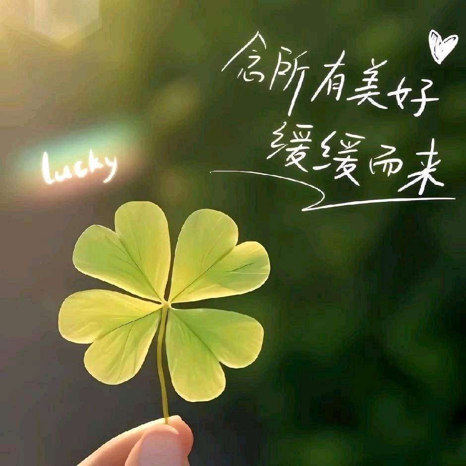 小太阳🌞