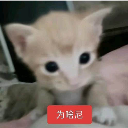 好想吃牛角包o。o