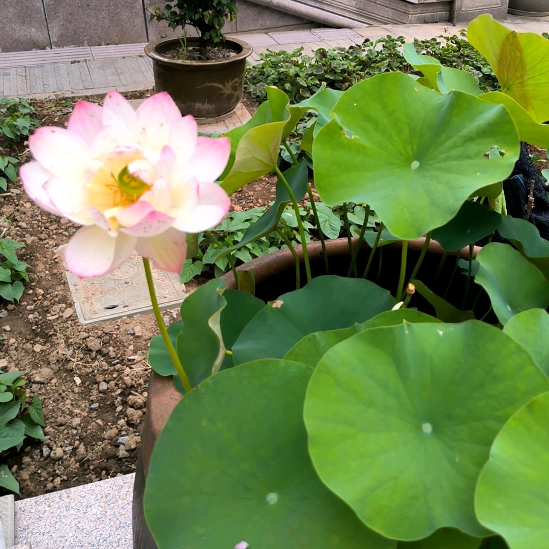 周俊品质小铺子