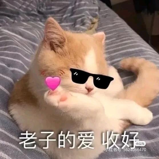 也许她