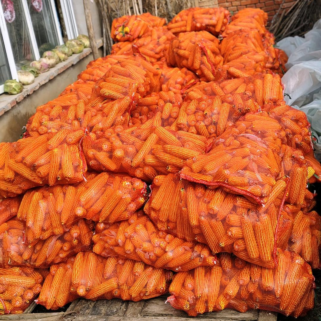 中国🇨🇳老董