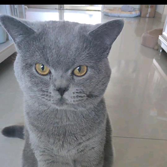 😀多喜宝宝的日常