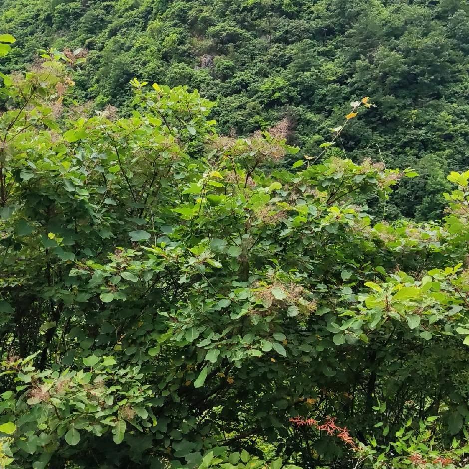 已后再说