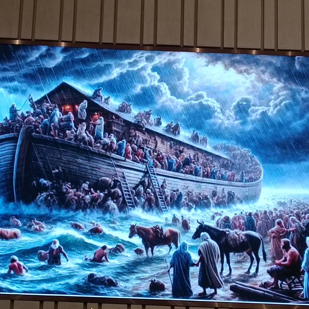 羊羊🐑🐑🐑🐑🐑