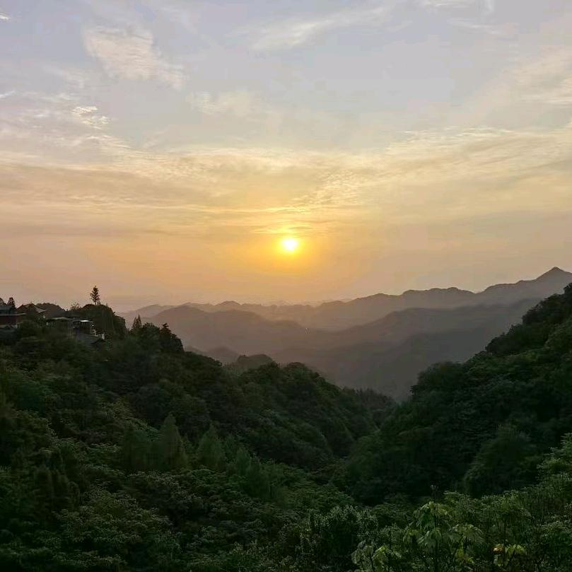 泰利又活过来啦
