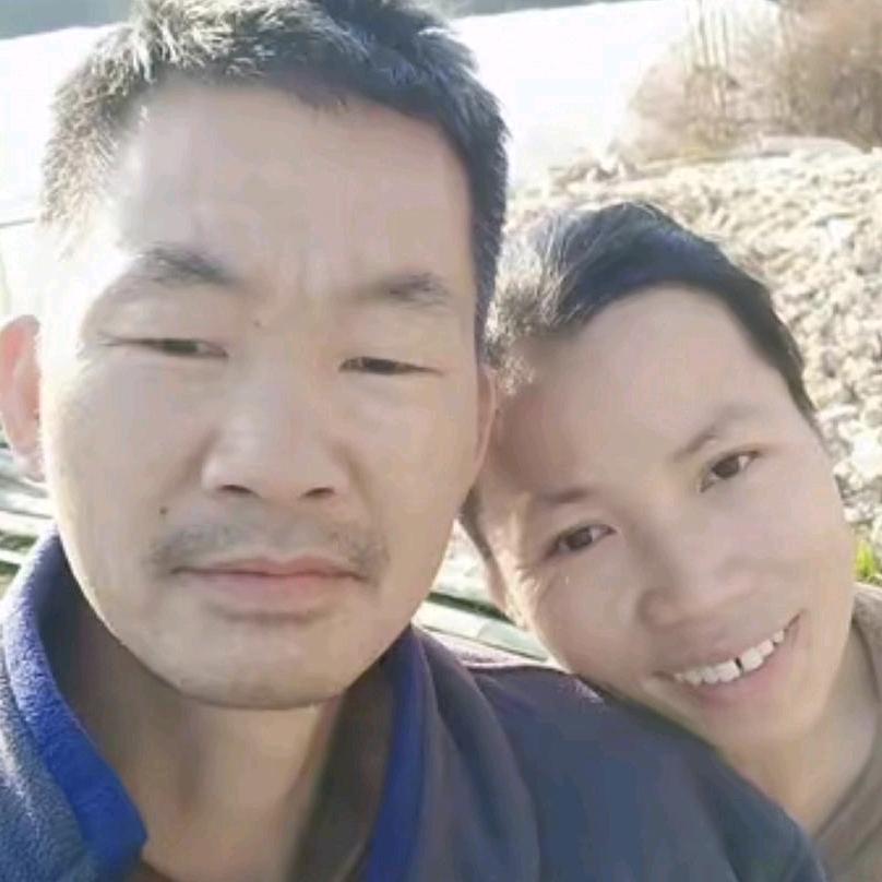 高木塘辣椒苗基地