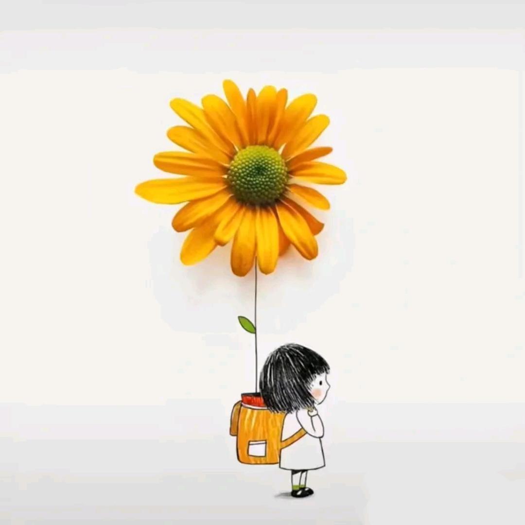 菠萝