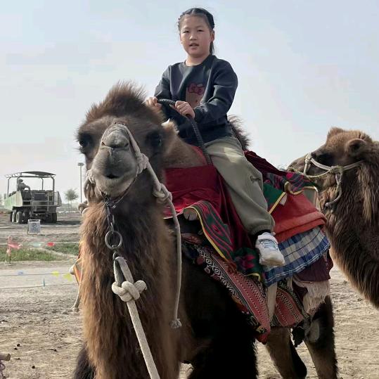 长沙锐捷财税~强哥