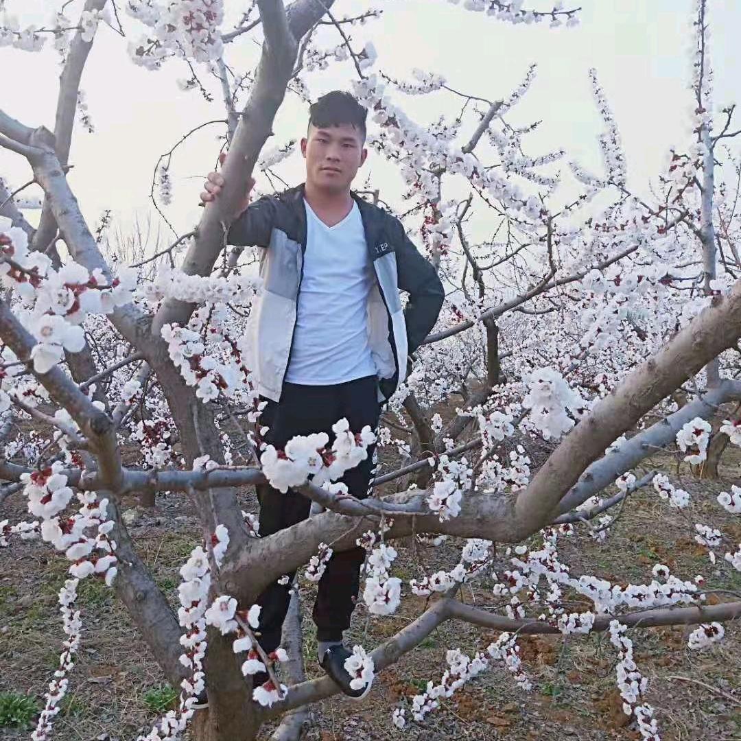 莫宸靖宸