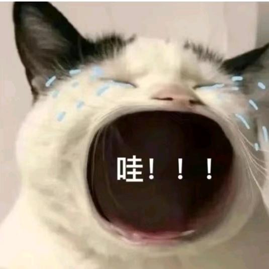 Honshino星野愛🍼