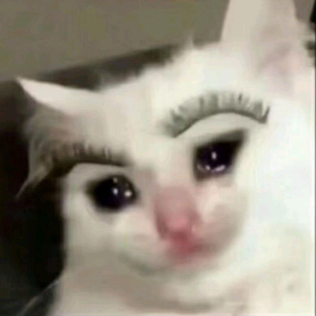 小秦的零食小铺