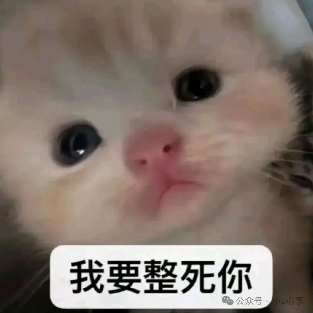 真想整死你！˄ _ ˄