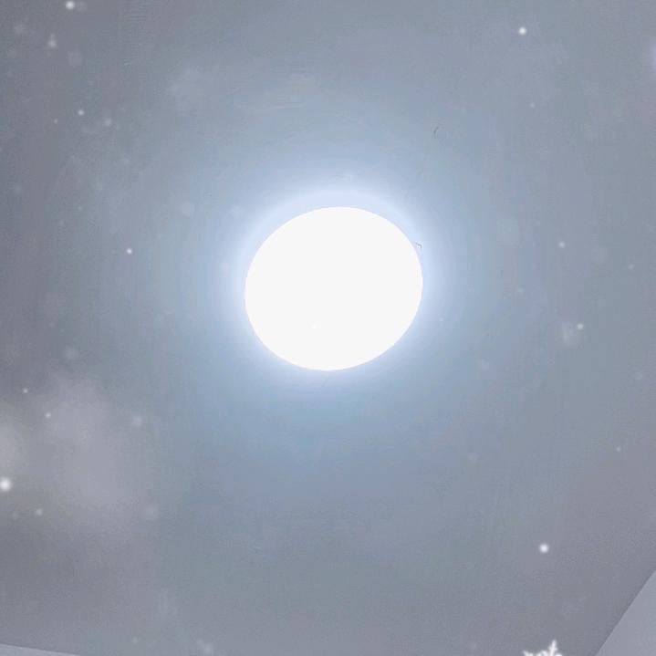 你的样子很美