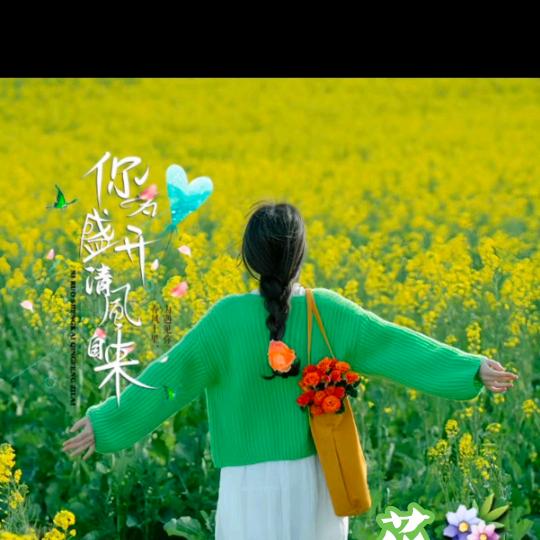 砚清欢