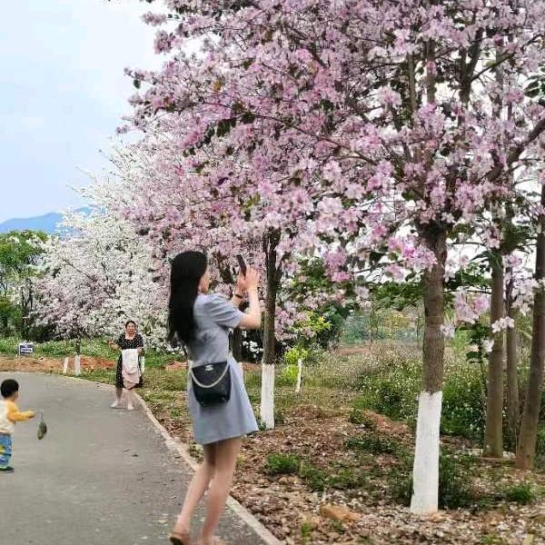 钟山——董红娘