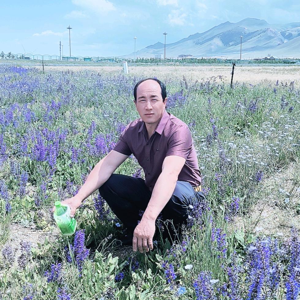 远离家乡
