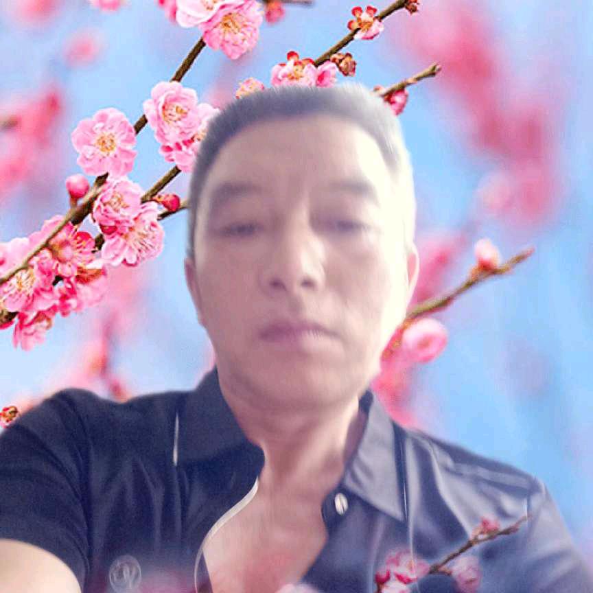龙最腾飞