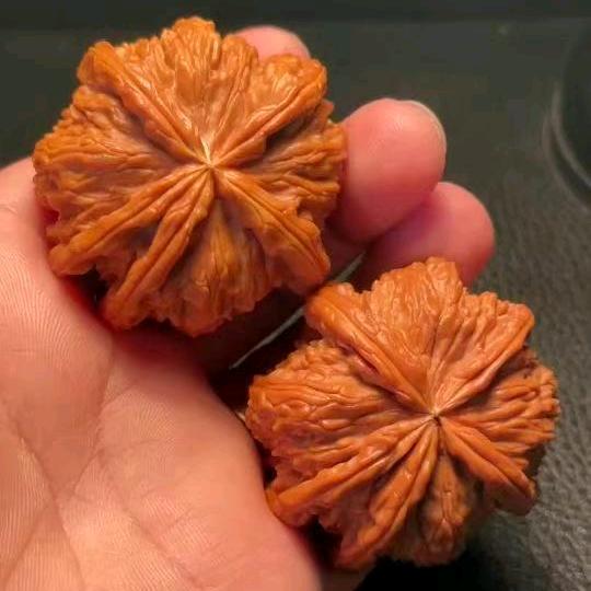 聚核文玩
