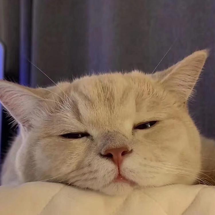 宇