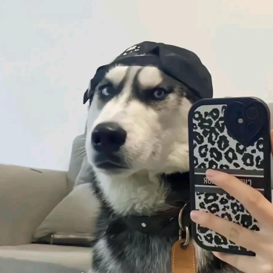 积极且懒惰(づ ●─● )づ