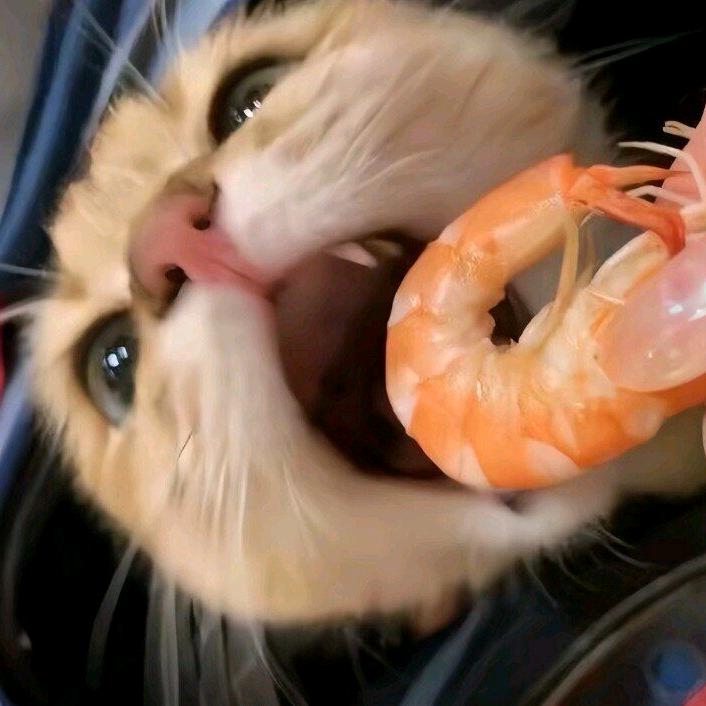 王铮铮