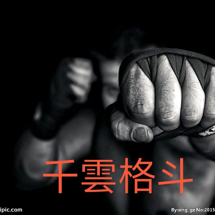 千云  格斗