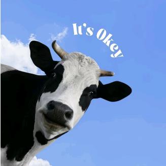 疯狂奶牛🐮