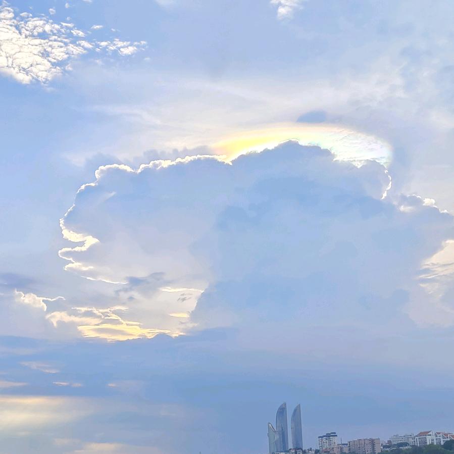 向日葵🌻的微笑😊