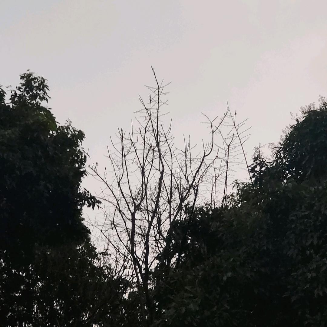 三不沾河图