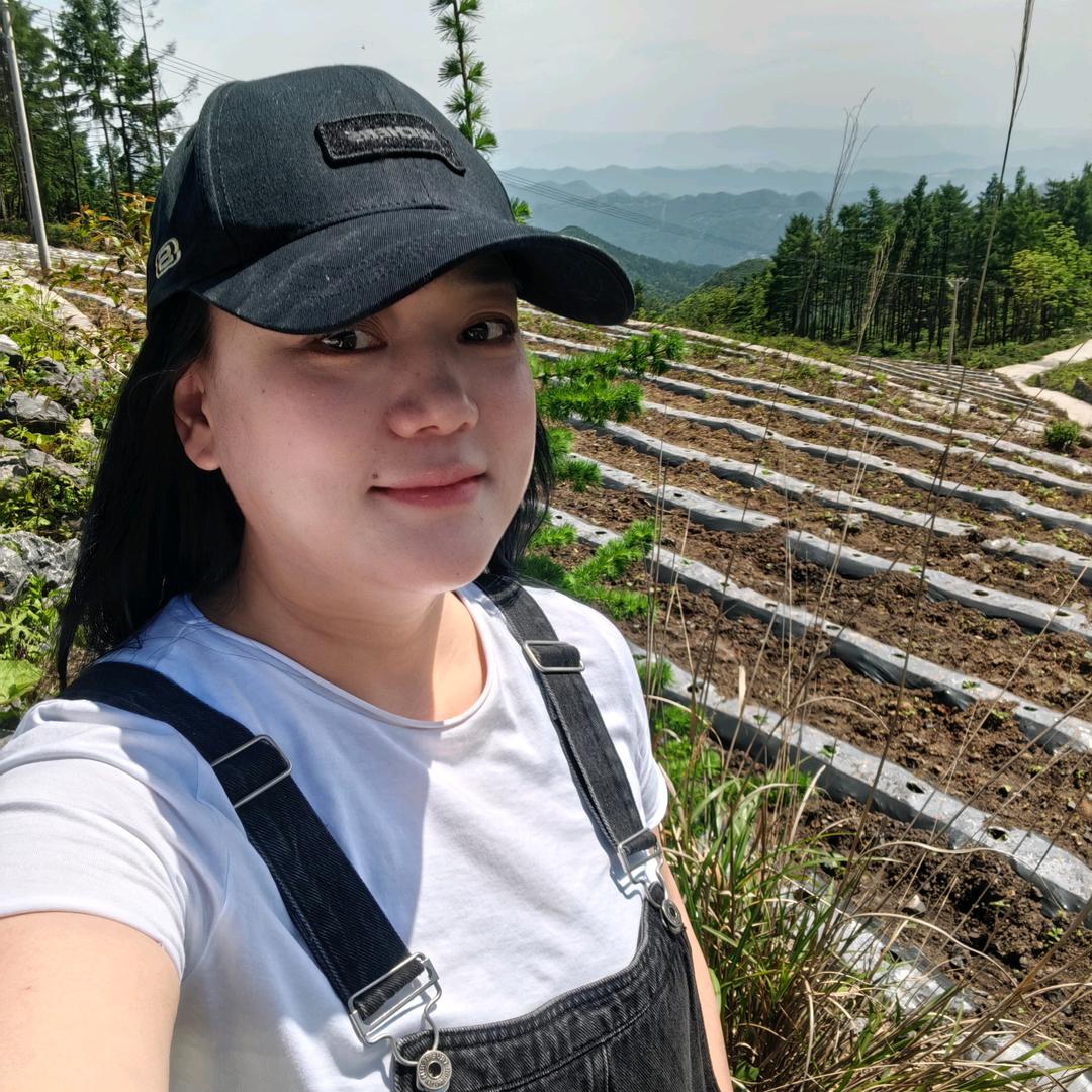 绿野仙踪美味坊