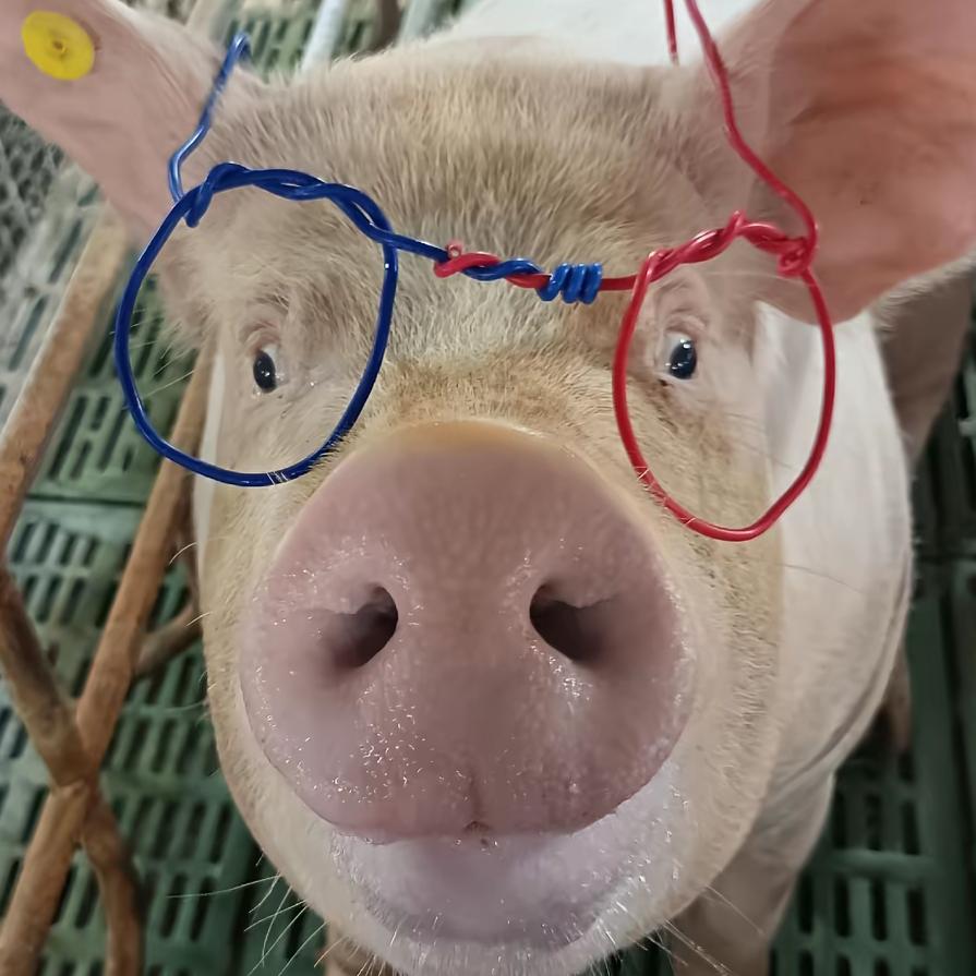 为什么什么都做不好